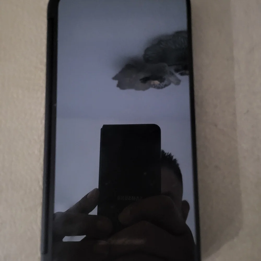 LG g8x flip phone